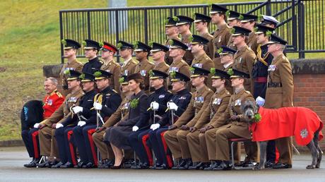 ESTA SEMANA, PROTOCOLO 2X1