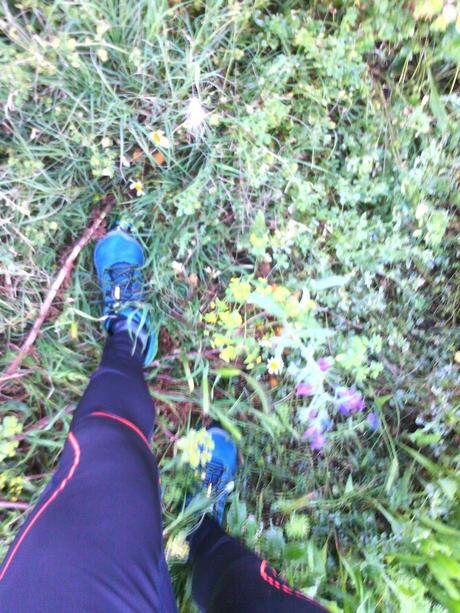 Primeras Impresiones Merrel Trail Glove 3