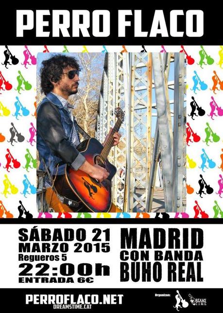 Perro Flaco con banda en buho real