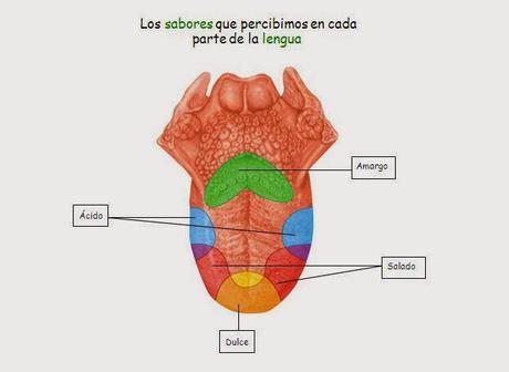 ¿Te comes lo que sientes?