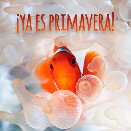 ya-es-primavera-2015