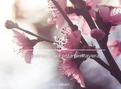 Planes para esta Primavera