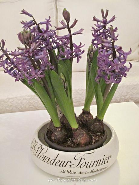 Del pasado... Del pasado...