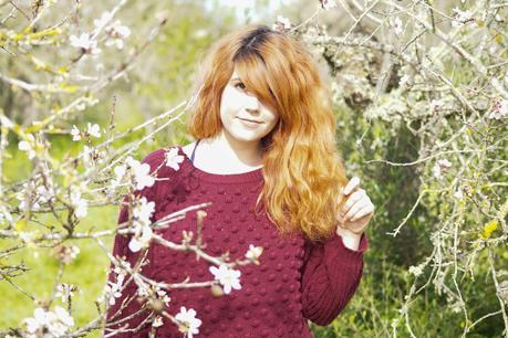 Spring has Sprung Spring has Sprung