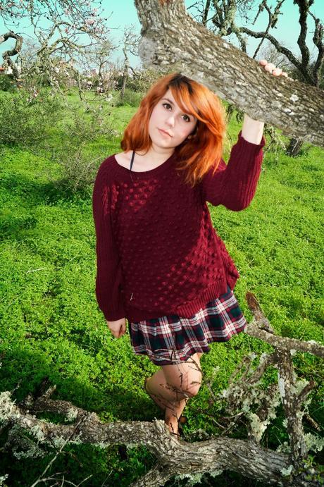 Spring has Sprung Spring has Sprung