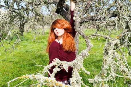 Spring has Sprung Spring has Sprung