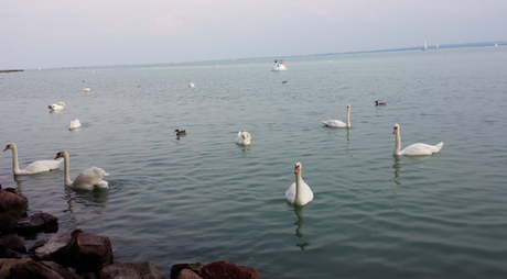 Qué ver en el Balaton