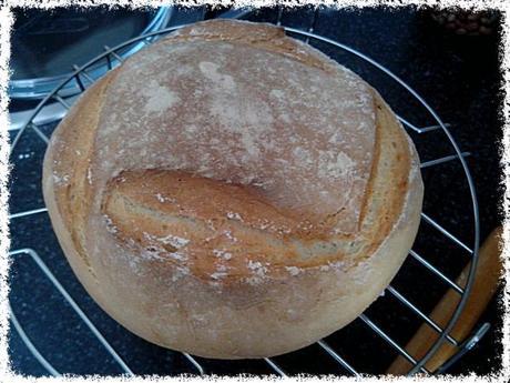 Entre cocinillas: Pan rústico en 1 hora con Thermomix Pan4