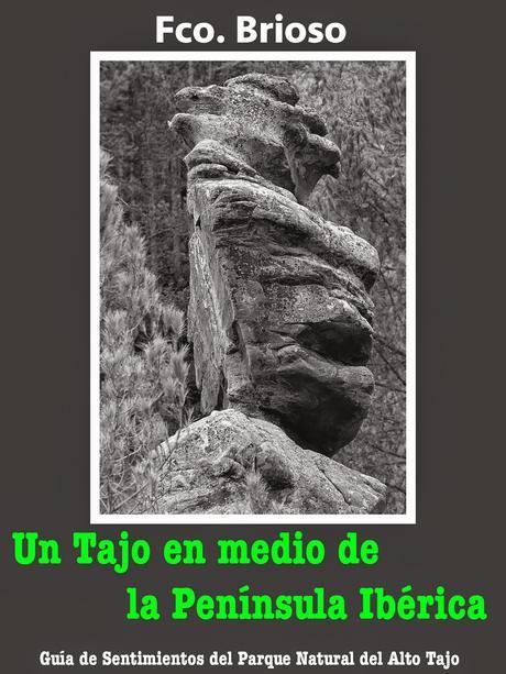 Enlaces de visionado y descarga del libro gratis