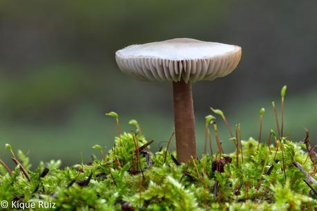 Macro 2015 (setas) Macro 2015 (setas)