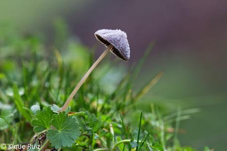 Macro 2015 (setas) Macro 2015 (setas)