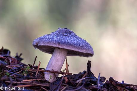 Macro 2015 (setas) Macro 2015 (setas)