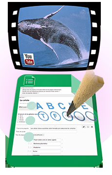 comprensión lectora con google forms Evalúa el nivel de comprensión de los alumnos