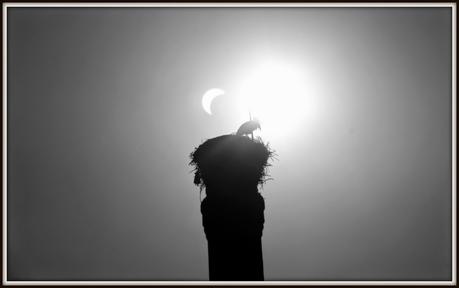 Eclipse de sol