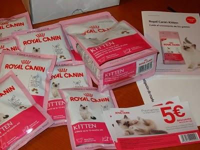 royal canin kitten