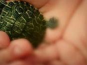 Paco cousteau rodriguez fuente