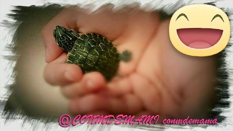 PACO COUSTEAU RODRIGUEZ DE LA FUENTE