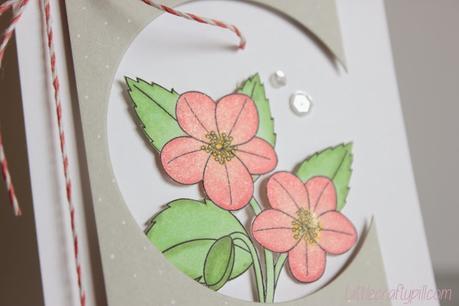 Copic markers coloring + Copic markers coloring