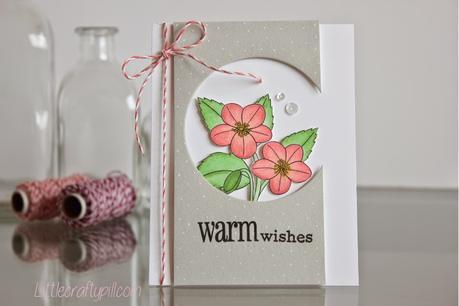 Copic markers coloring + Copic markers coloring