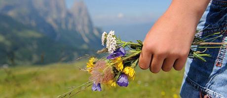 1004525_553613601341535_5603440_n