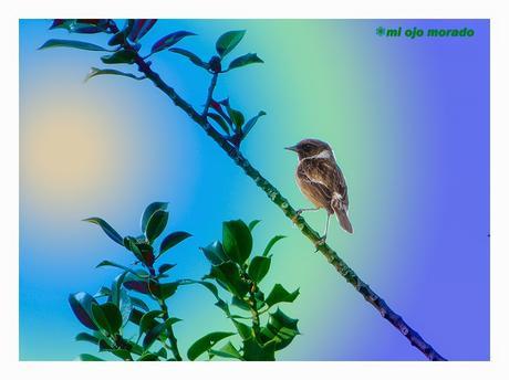 A veces algo de vida por los caminos