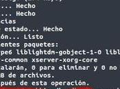 Algo curioso sobre actualizaciones Ubuntu