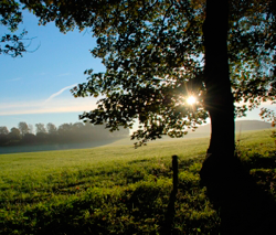 El Rincón de Ika se une a la iniciativa “¡Haz tu blog CO2 neutral!”