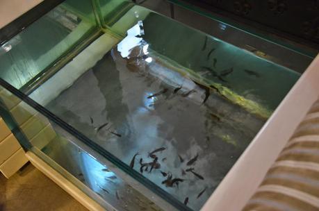 CosmetikTrip 2: Primer día!!! CosmetikTrip 2: Primer día!!!