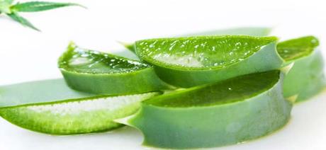 Cuales son las beneficios de la sabila para la piel de una persona