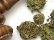 Abogado deja caer bolsa onzas marihuana Sala