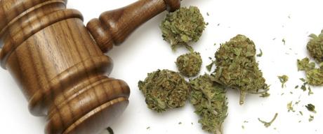 GAVEL MARIJUANA