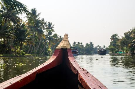 Recorriendo los  backwaters