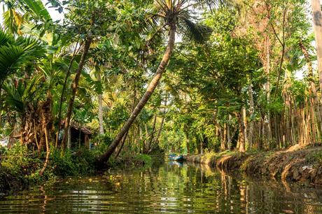 Los canales más pequeños de los Backwaters, Alepey