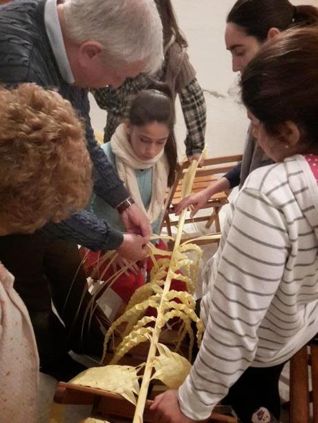 Taller de palmas rizadas