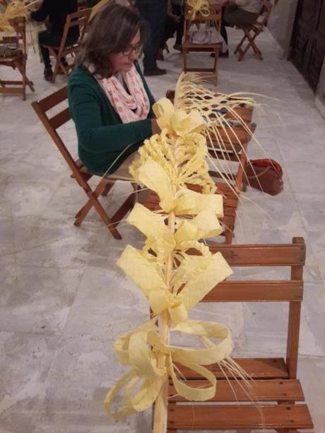 Taller de palmas rizadas