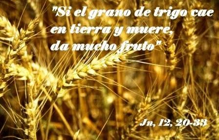 Evangelio y reflexión del quinto domingo de Cuaresma