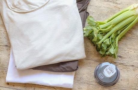 DIY Estampar rosas de apio en una camiseta / DIY celery stamped roses t shirt DIY Estampar rosas de apio en una camiseta / DIY celery stamped roses t shirt