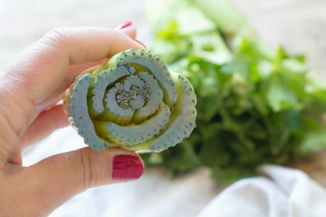 DIY Estampar rosas de apio en una camiseta / DIY celery stamped roses t shirt DIY Estampar rosas de apio en una camiseta / DIY celery stamped roses t shirt