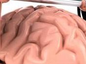 Esculpe propio cerebro