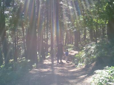 Homeopatía y otros trucos para mantener la salud PICT0803