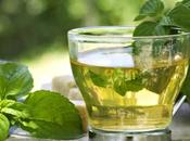 Beneficios beber verde cada