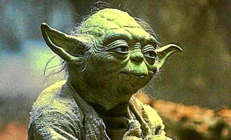 Parece que voy a ser mentor