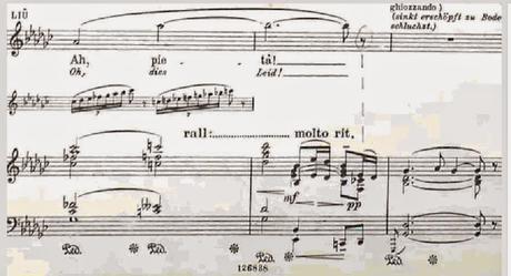 Aria: Signore Ascolta. Opera Turandot. Puccini. COMO CANTAR EL ÚLTIMO COMPÁS