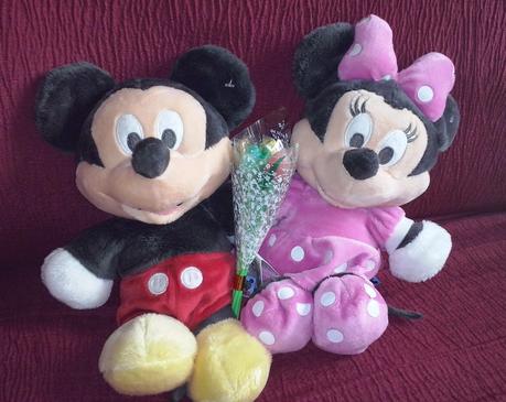 FLOWER POWER Y ELECCIONES