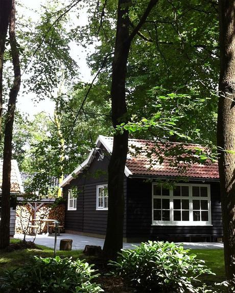 Mucho estilo en el campo Mucho estilo en el campo