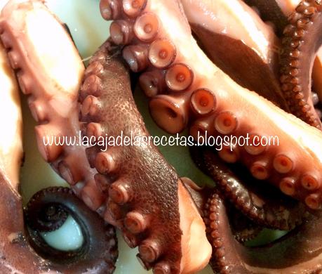 Pulpo a la Gallega