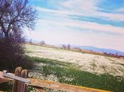 compartimos: libertad