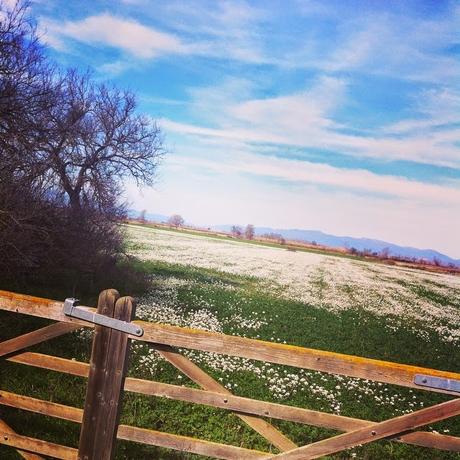 hoy compartimos: libertad