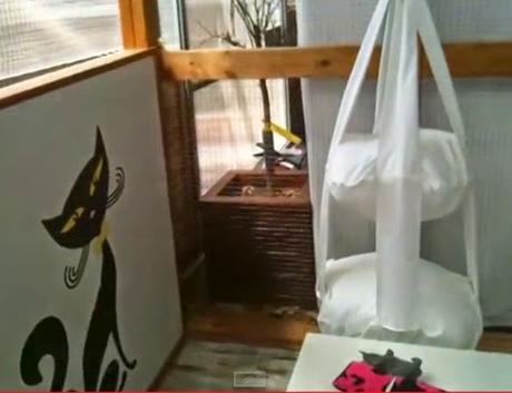 Estancia del hotel para pequeños felinos Zona de juego y relax en Gatosphera