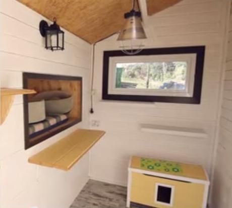 Vacaciones para gatos Habitación individual de Gatosphera